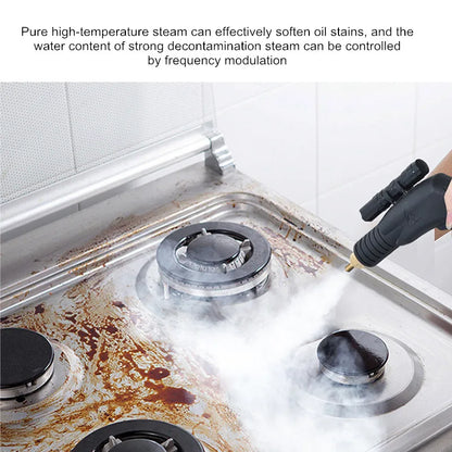 220V 110V 3000W High Pressure Steam Cleaner Machine Pumping Sterilization Disinfector Steam Generator Washer Household Cleaner