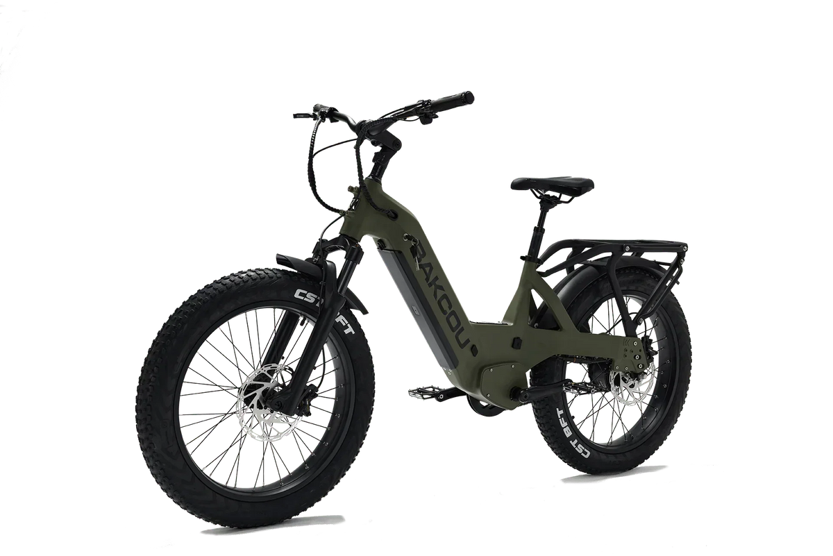 Bakcou Flatlander SD Electric Bike