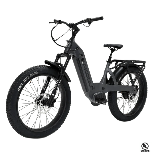 Bakcou Flatlander SD Electric Bike