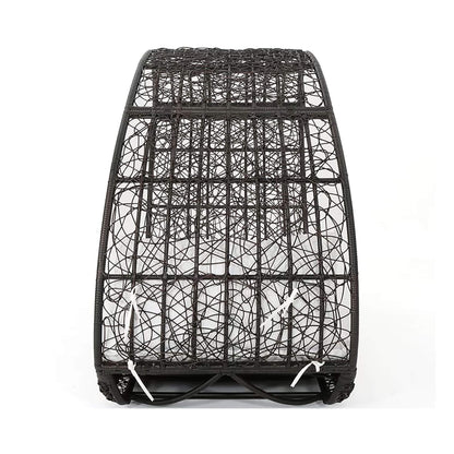 Alora Large 2-Person Abigal Outdoor Wicker Daybed With Aluminum Frame And Cushions (SAK23942)